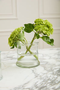 Design Shop Clear Veza Vase, 5" X 4.75".