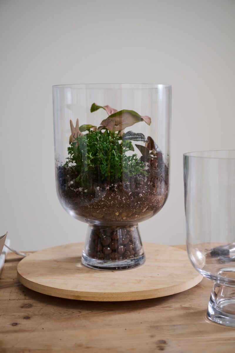 Design Shop Reservoir Terrarium 8.5"x 13"