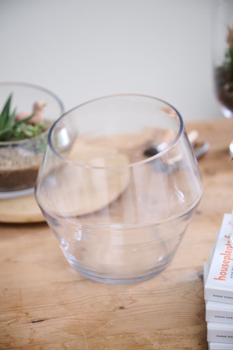 Design Shop Clear Dynamic Terrarium, 9.25" X 9".