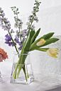 Design Shop Oslo Vase 4"x 6.25"