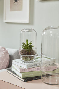 Design Shop Clear Griffith Terrarium, 4.25" X 8".