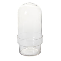 Design Shop Clear Griffith Terrarium, 6.5" X 12.5"
