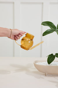 Design Shop Amber Pequeno Watering Can, 7" X 4.25"