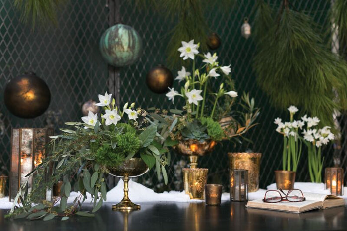 Design Shop Gold Desiray Compote Compote, 8" X 7"