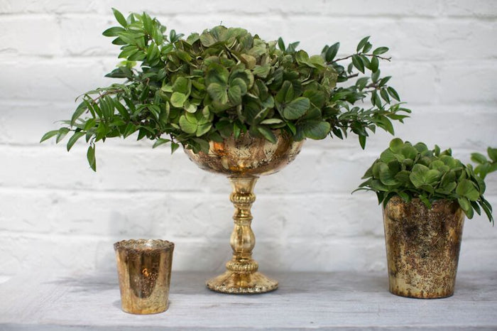 Design Shop Gold Desiray Compote Compote, 8" X 9.5"