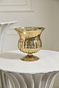 Design Shop Raphael Urn 6.25"x 6.75"