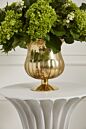 Design Shop Raphael Urn 8"x 9"