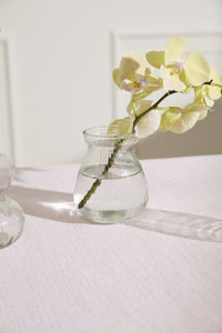 Design Shop Clear Jaden Budvase, 3.75" X 4.5", Set of 6.