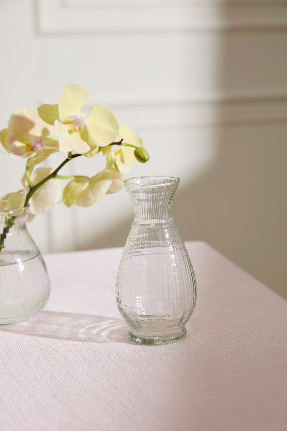 Design Shop Clear Jaden Budvase, 2.75" X 5.75", Set of 6.