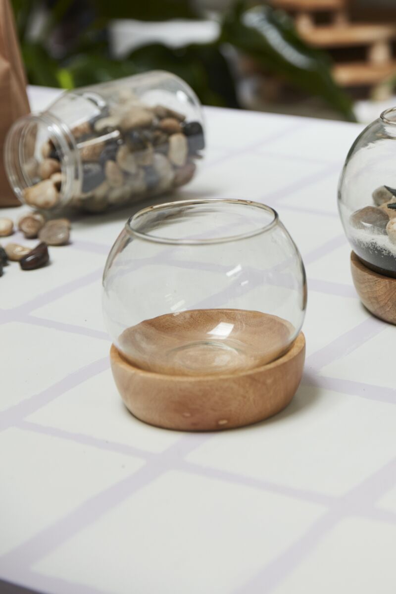 Design Shop Clear Full View Terrarium, 4.75" X 4.75", Set of 2.