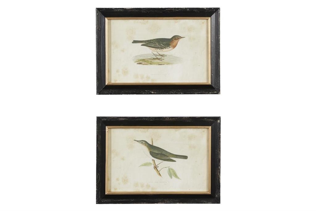 Black Wood Bird Framed Wall Art with Black Frame, Set Of 2