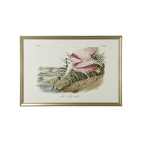 Chelsea House Roseate Spoonbill