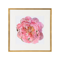 Chelsea House Blossomed Peony II