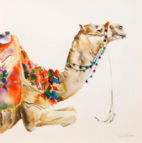 Desert Camel Framed Print