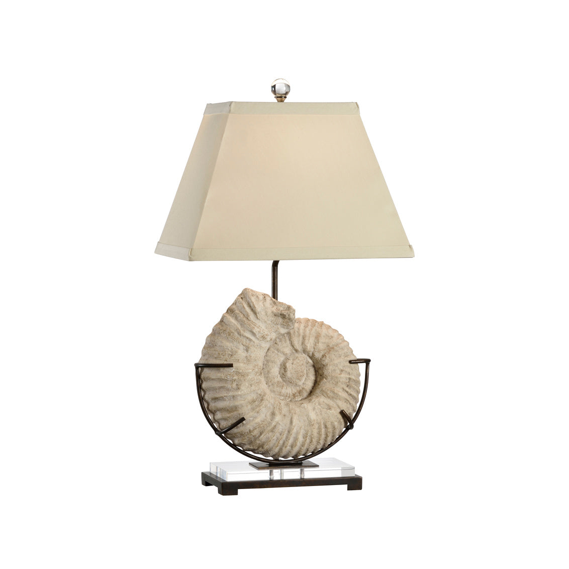 Wildwood Ammonite Lamp