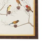 Chelsea House Small Aviary - B