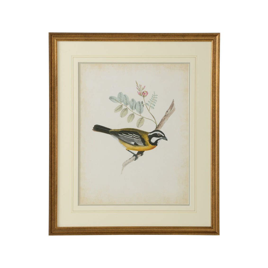 Chelsea House Delicate Birds V