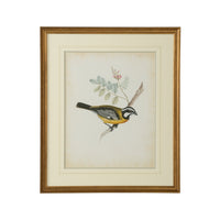 Chelsea House Delicate Birds V