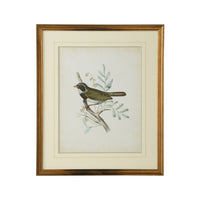 Chelsea House Delicate Birds VI