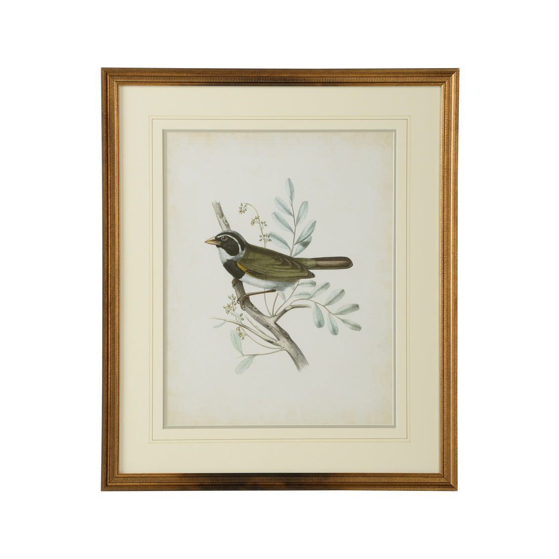 Chelsea House Delicate Birds VI