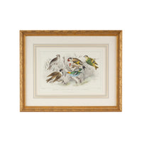 Chelsea House Gold Finch, Bunting & Wrens