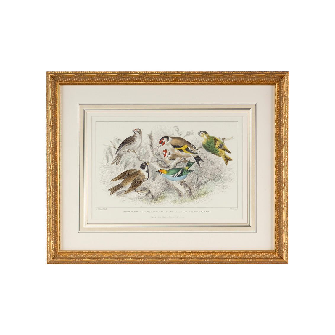 Chelsea House Gold Finch, Bunting & Wrens