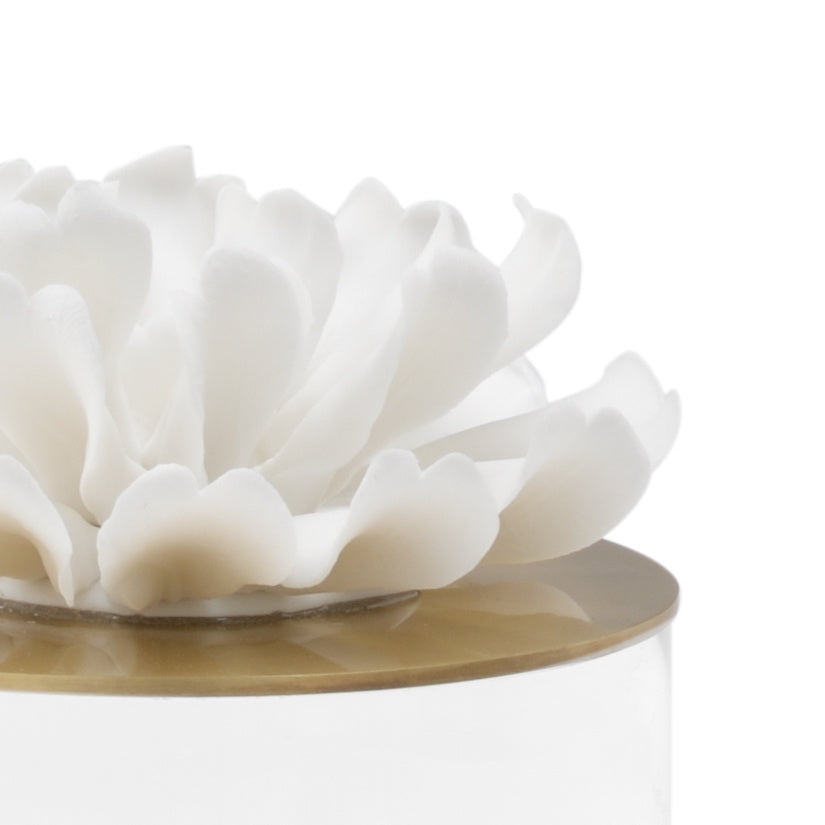 Chelsea House Succulent Sculpture (Lg)