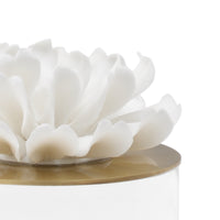 Chelsea House Succulent Sculpture (Lg)