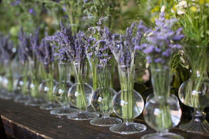 Row of glass vases with lavender flowers on a wooden surface
