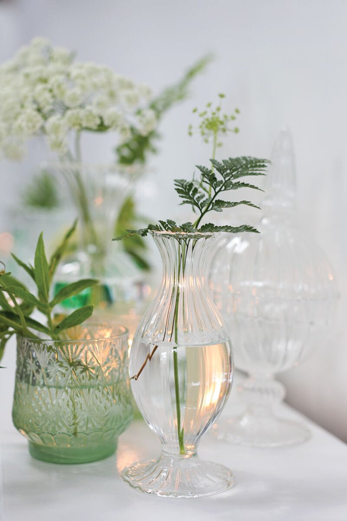 Decorative glass vases with plants on a white surface