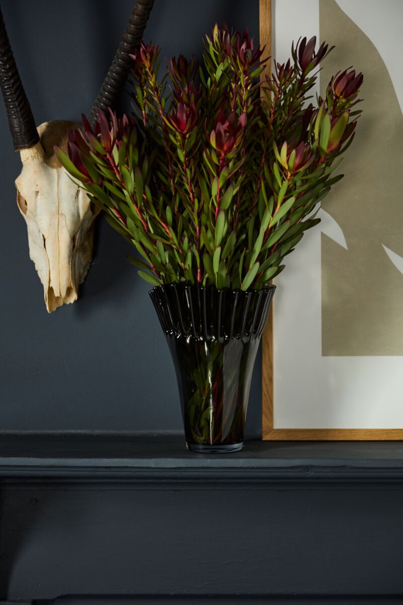 Design Shop Lolanthe Vase 8.75"x 9"x 10.75"