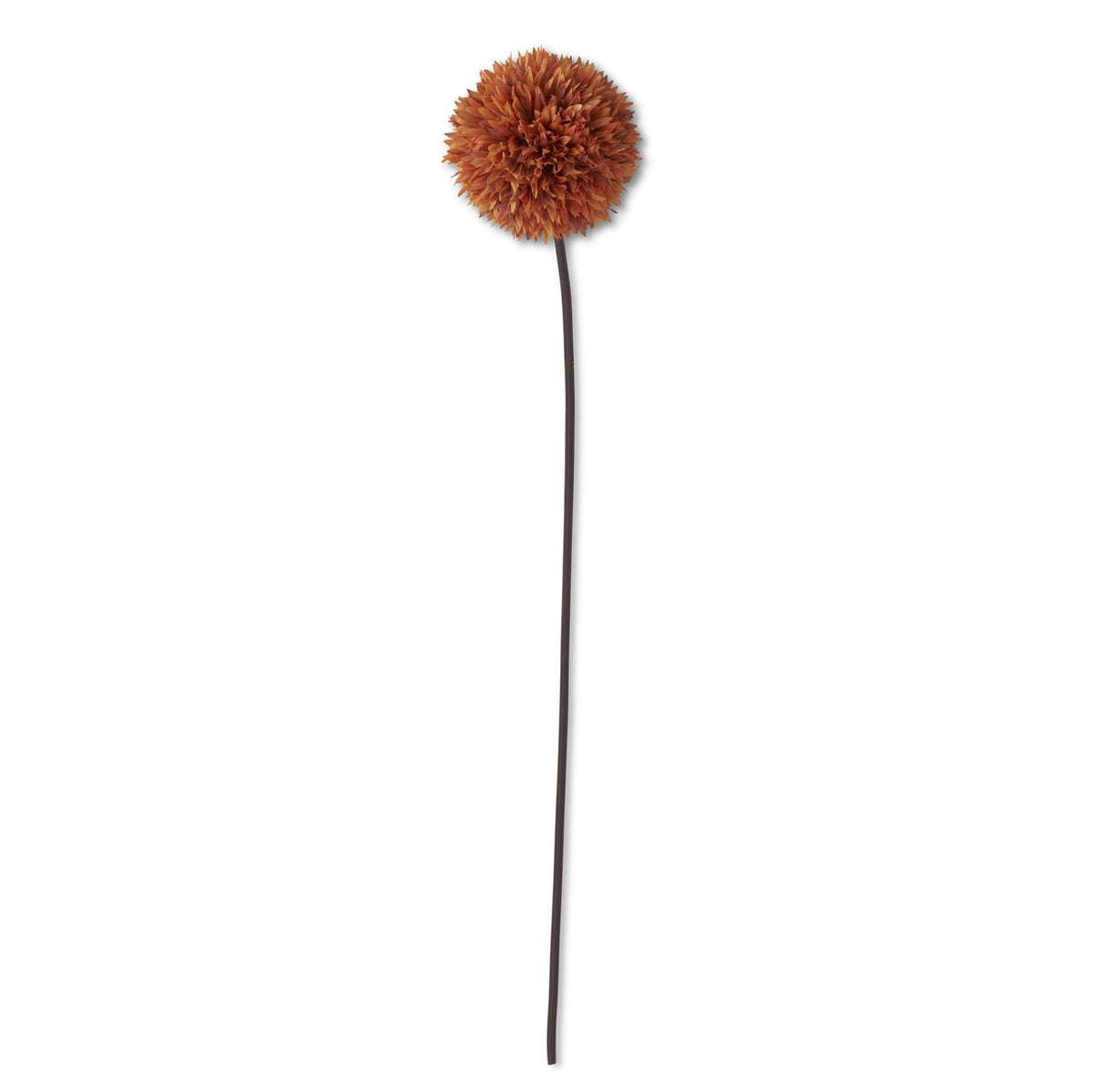 Design Shop 31 Inch Orange Allium Stem