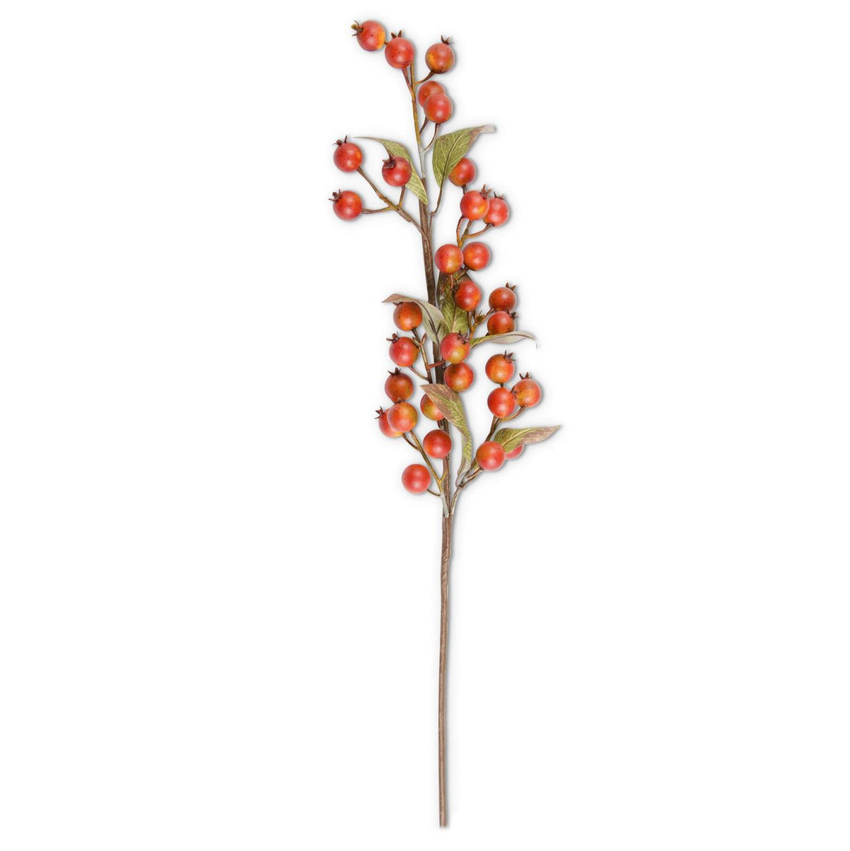 Design Shop 32 Inch Burnt Orange Rosehip Stem