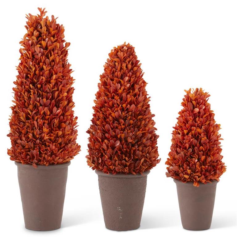 Shell Design Shop Set of 3 Orange Preserved Boxwood Potted Cone Trees