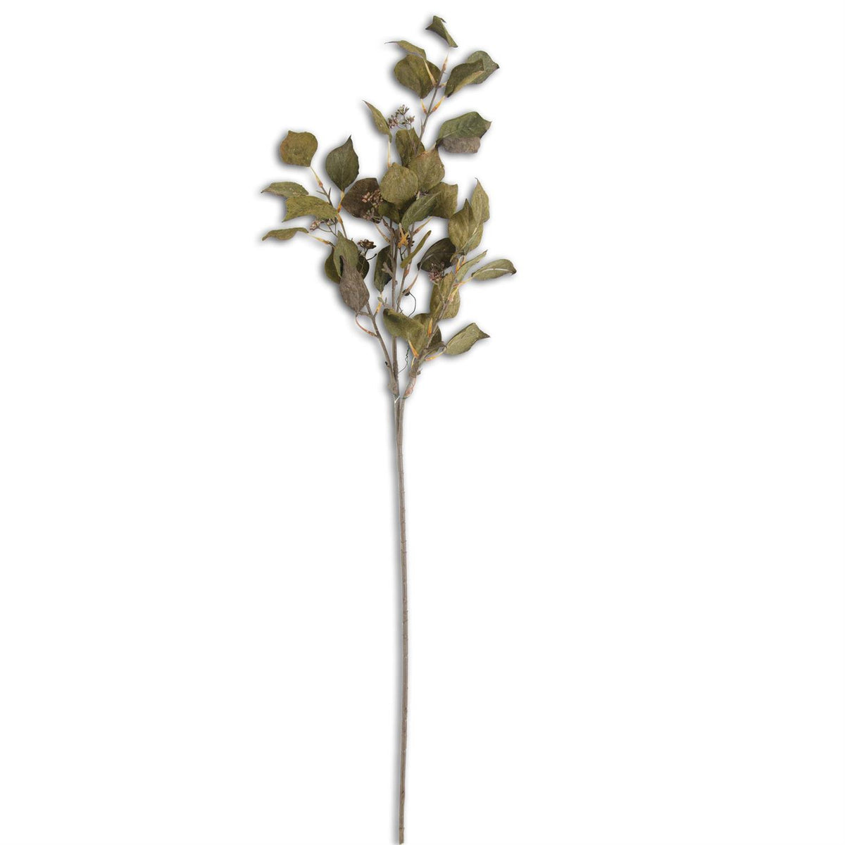Design Shop 38 Inch Dark Green Cork Textured Silver Dollar Eucalyptus Stem