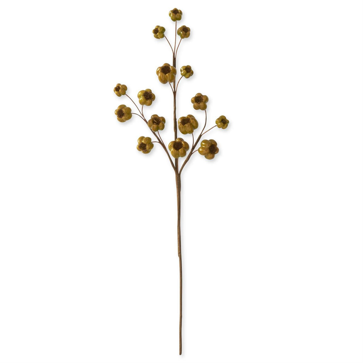 Design Shop 27 Inch Green Fig Stem
