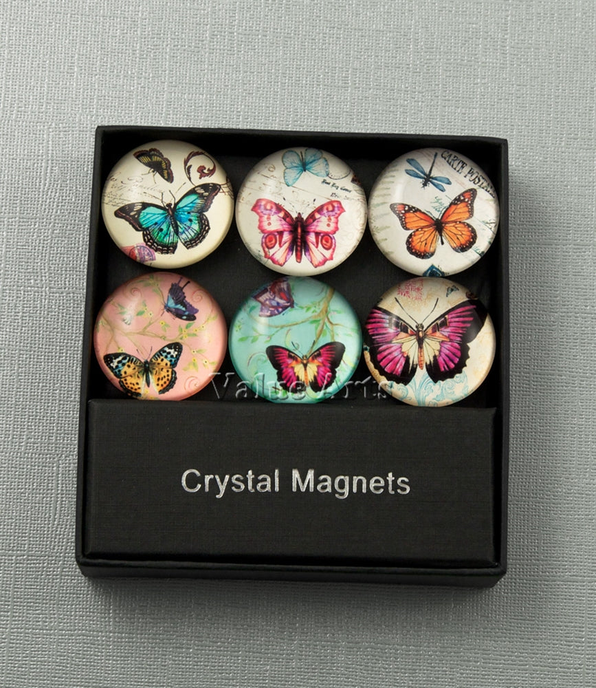 Design Shop Butterfly Magnet/Set of 6