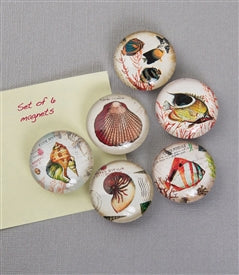 Design Shop Nautical Magnet / Set Of 6