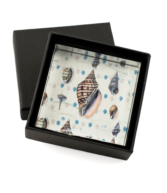 Seashell and Starfish Crystal Paperweight