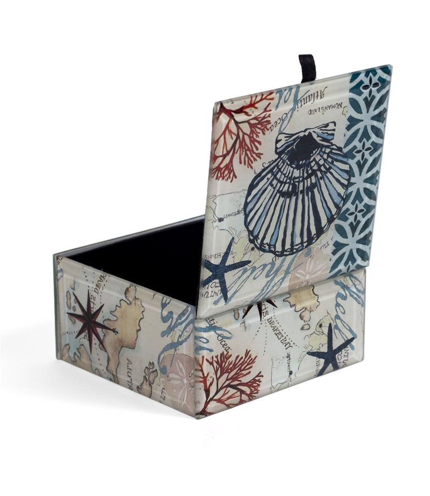 Seashell Treasure Box