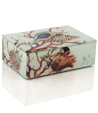 Seashell Treasure Box