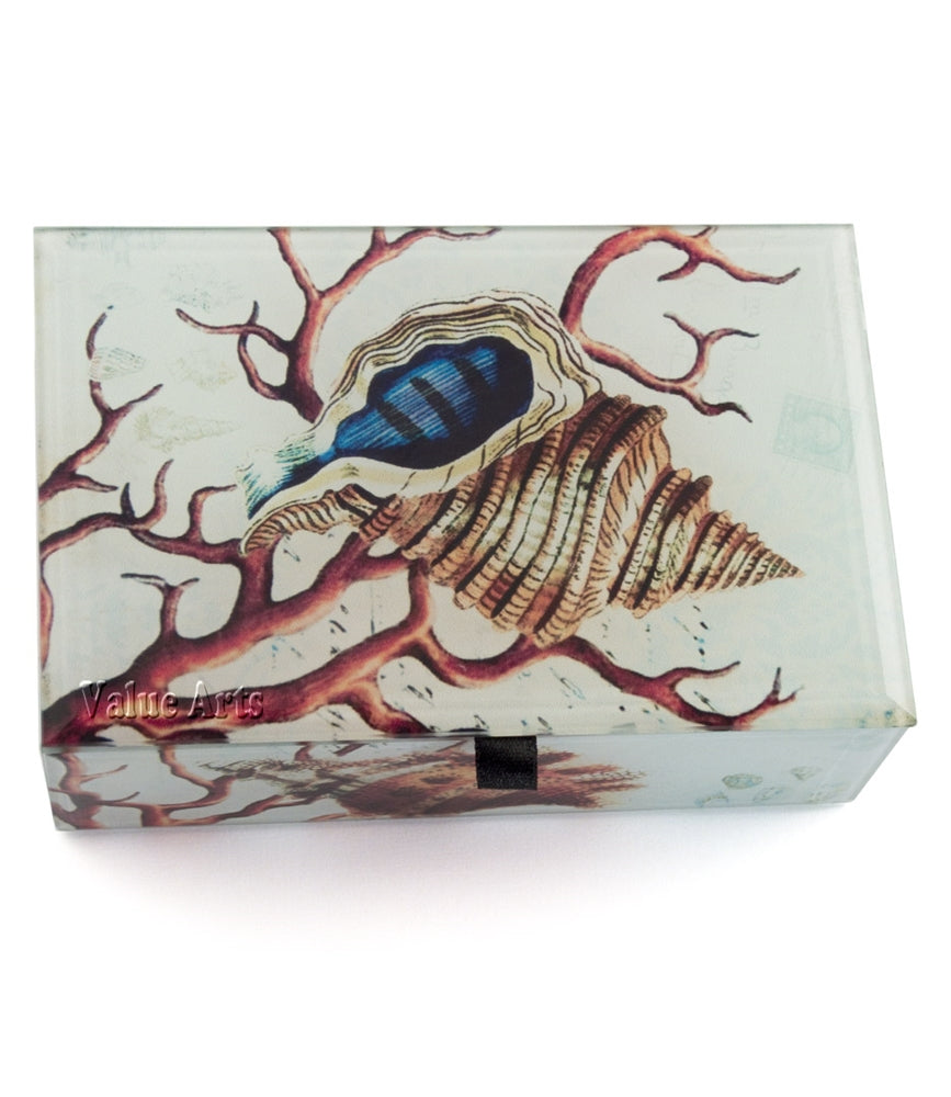 Seashell Treasure Box