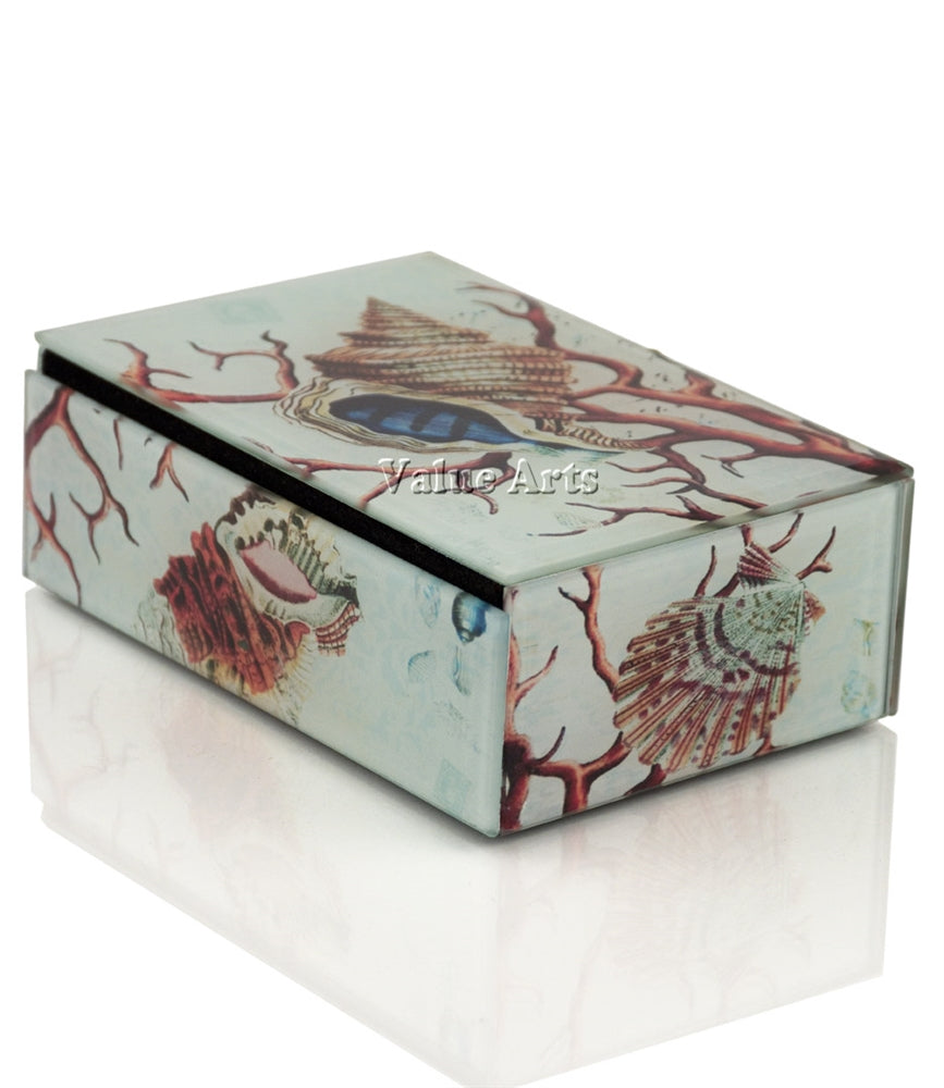 Seashell Treasure Box