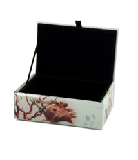 Seashell Treasure Box