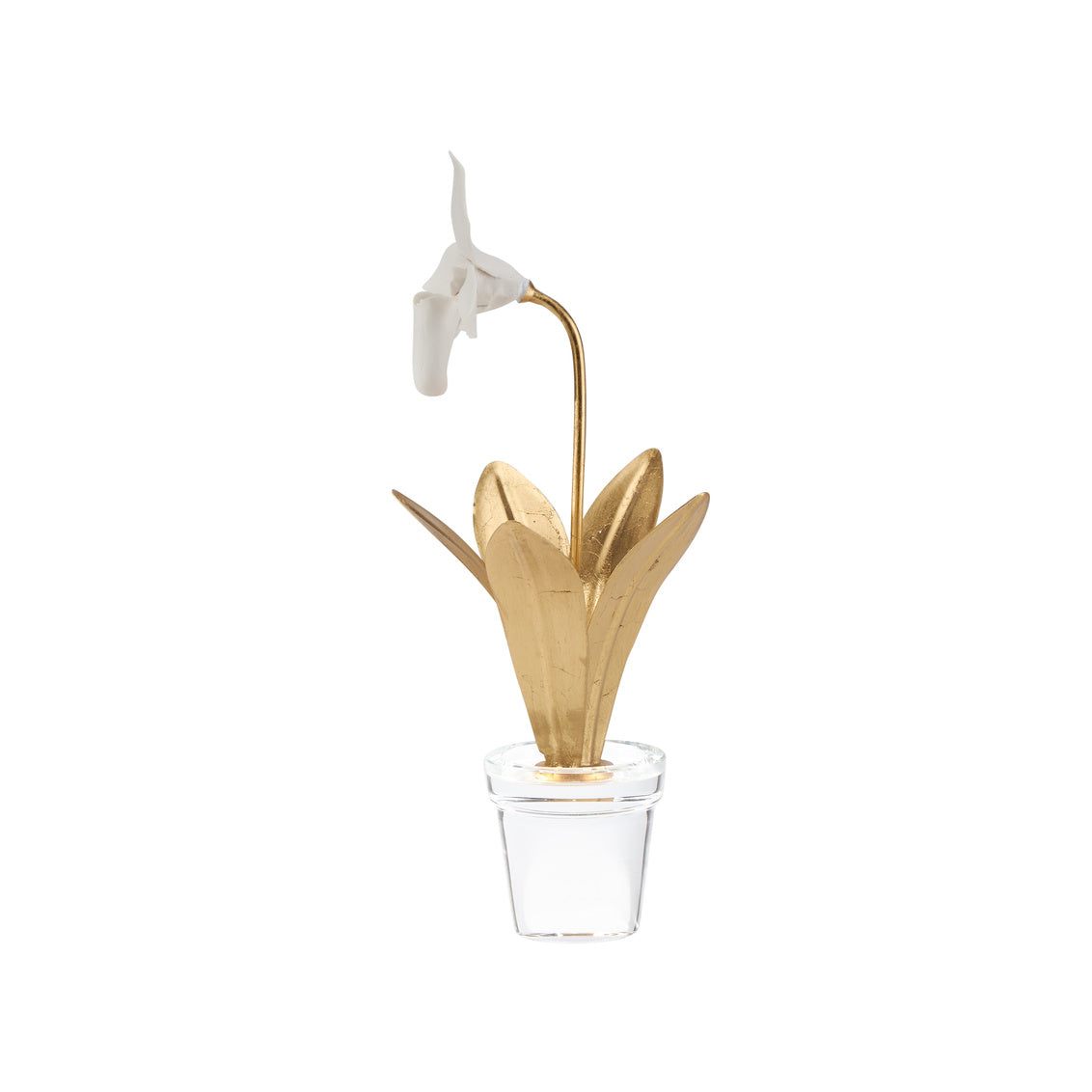 Chelsea House Lady Slipper Orchid
