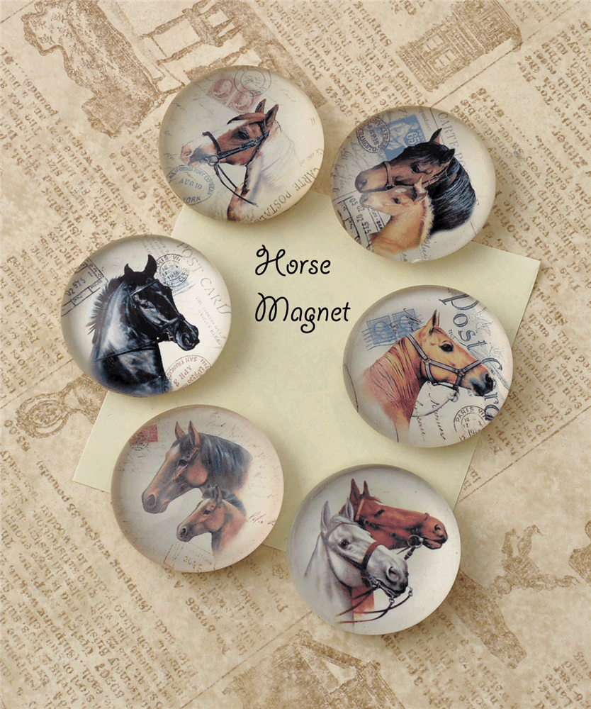 Design Shop Horse Magnet/Set of 6