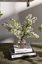 Design Shop Chim Budvase 3.5"x 4.5", Set of 2