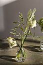 Design Shop Chim Budvase 3.25"x 4.75", Set of 2