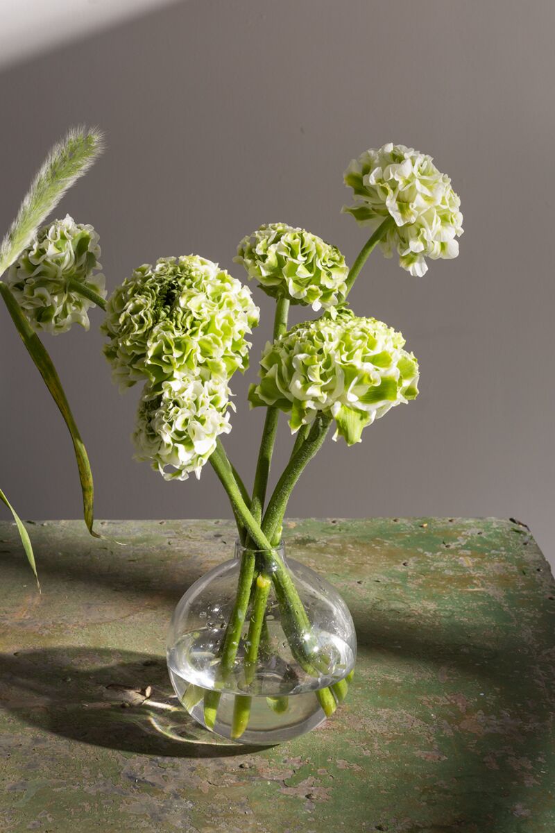 Design Shop Chim Budvase 5"x 5.75"