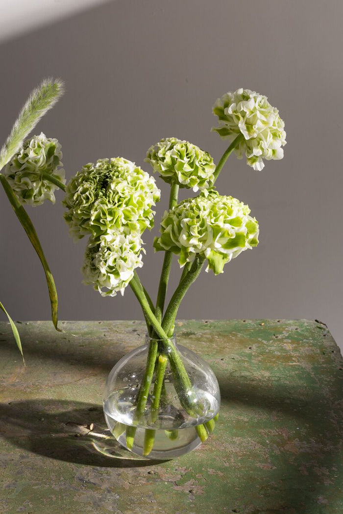 Design Shop Chim Budvase 5"x 5.75"